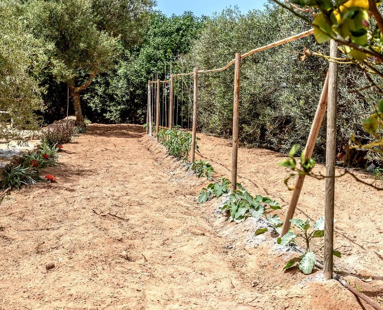 Villa Casa Can Joan Guasch San Francisco Javier